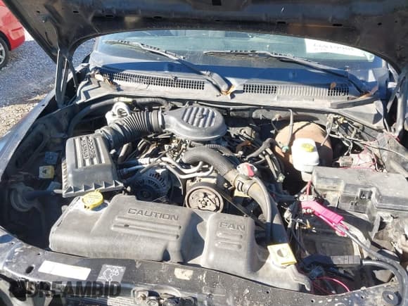 ✅ 2003 Dodge Dakota SLT • VIN: 1D7HL48X93S151422 • Lot: 40661577. Wystawiony na IAAI z przebiegiem 238 586 mil. Bezpłatny archiwum sprzedaży aukcyjnych z USA i szczegółowy raport historii pojazdu na DreamBid. Zdjęcie 10.