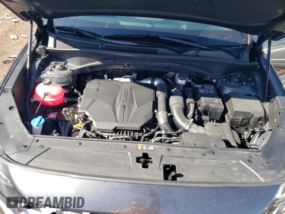 ✅ 2022 Hyundai Santa Fe Limited • VIN: 5NMS4DAL0NH465205 • Lot: 42342033. Wystawiony na Copart z przebiegiem 15 440 mil. Bezpłatny archiwum sprzedaży aukcyjnych z USA i szczegółowy raport historii pojazdu na DreamBid. Zdjęcie 11.