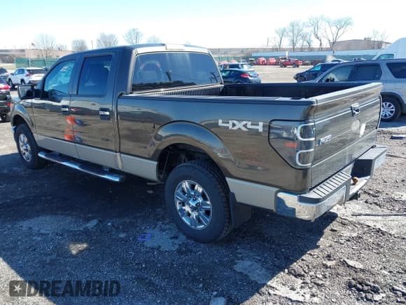 ✅ 2009 Ford F-150 XL • VIN: 1FTPW14V49FA98033 • Lot: 41822035. Listed on IAAI with 209,727 mi. Free auction sales archive from the USA and detailed vehicle history report at DreamBid. Image 3.