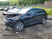 ✅ 2024 Dodge Hornet R/T • VIN: ZACPDFCW9R3A33146 • Lot: 59119115. Listed on Copart with 17,007 mi. Free auction sales archive from the USA and detailed vehicle history report at DreamBid. Image 1.