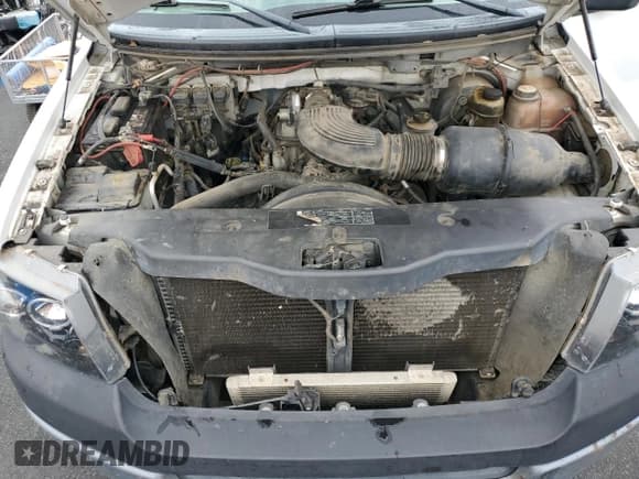 ✅ 2005 Ford F-150 XL • VIN: 1FTRF14W85NB23436 • Lot: 71698825. Listed on Copart with 182,973 mi. Free auction sales archive from the USA and detailed vehicle history report at DreamBid. Image 11.