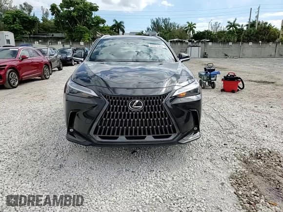 ✅ 2022 Lexus NX 250 • VIN: 2T2ADCAZ2NC001134 • Lot: 47079385. Listed on Copart with 47,693 mi. Free auction sales archive from the USA and detailed vehicle history report at DreamBid. Image 14.