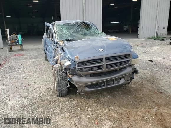 ✅ 2002 Dodge Dakota • VIN: 1B7GL12X12S669374 • Lot: 81964605. Wystawiony na Copart z przebiegiem 71 608 mil. Bezpłatny archiwum sprzedaży aukcyjnych z USA i szczegółowy raport historii pojazdu na DreamBid. Zdjęcie 13.