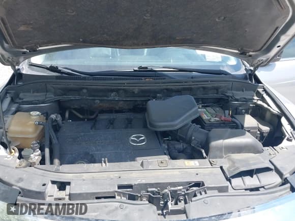 ✅ 2010 Mazda CX-9 Sport • VIN: JM3TB2MA1A0211206 • Lot: 42165804. Listed on IAAI with Not provided. Free auction sales archive from the USA and detailed vehicle history report at DreamBid. Image 10.