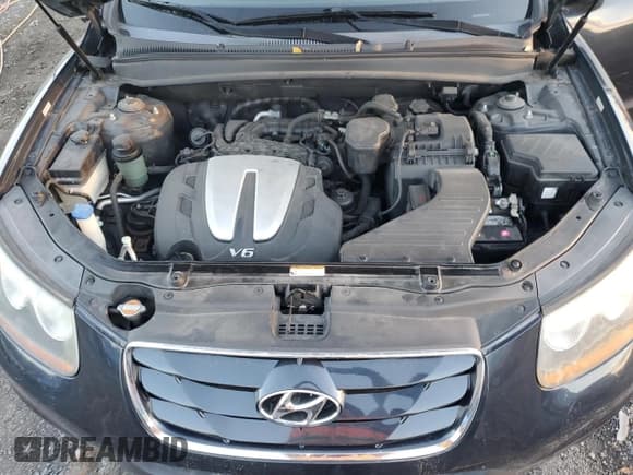 ✅ 2010 Hyundai Santa Fe Limited • VIN: 5NMSKDAG1AH383695 • Lot: 81109014. Listed on Copart with 153,208 mi. Free auction sales archive from the USA and detailed vehicle history report at DreamBid. Image 11.