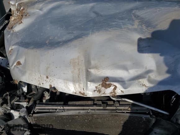 ✅ 2017 Chevrolet Equinox LS • VIN: 2GNALBEK4H1529203 • Лот: 82301325. Опубликован ранее на Copart с пробегом Не указан. Бесплатный доступ к архиву аукционных продаж из США и подробный отчёт об истории автомобиля на DreamBid. Изображение 12.