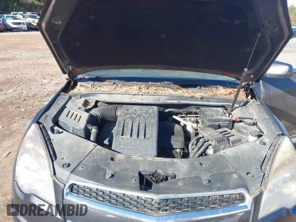 ✅ 2015 Chevrolet Equinox LT • VIN: 1GNFLFEK8FZ127833 • Lot: 43548581. Listed on IAAI with 130,816 mi. Free auction sales archive from the USA and detailed vehicle history report at DreamBid. Image 10.