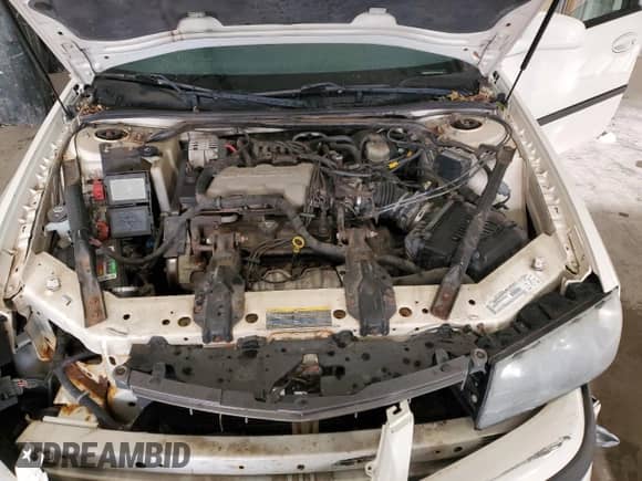 2003 Chevrolet Impala с VIN 2G1WF52E939390761, выставлен на аукционе Copart как лот 77182244 с пробегом 248 361 миль миль и На запчасти • Non repairable. История ставок и продаж доступна на DreamBid. Изображение 11.