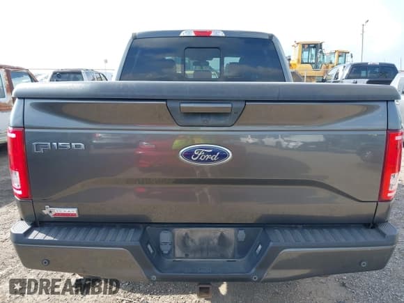 ✅ 2017 Ford F-150 XL • VIN: 1FTEW1EF6HFA25615 • Lot: 42745868. Wystawiony na IAAI z przebiegiem 98 008 mil. Bezpłatny archiwum sprzedaży aukcyjnych z USA i szczegółowy raport historii pojazdu na DreamBid. Zdjęcie 16.