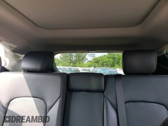 2017 Hyundai Santa Fe 2.0T with VIN 5XYZUDLA1HG403885, listed as a Copart auction lot 65052585 with 172,471 mi miles and Clean title. Bid and sale history available at DreamBid. Image 10.