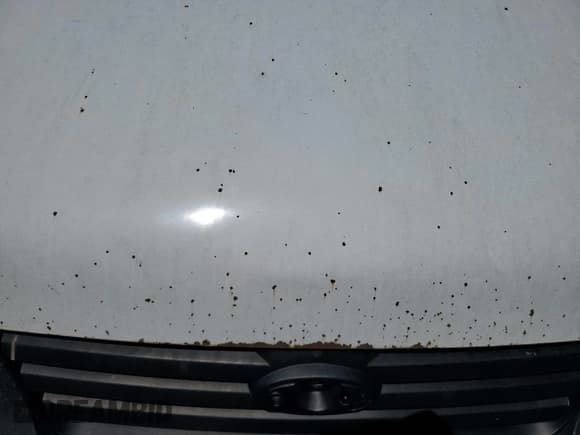 ✅ 2010 Ford Transit Connect XL • VIN: NM0LS7AN5AT003130 • Lot: 62169715. Wystawiony na Copart z przebiegiem Nie podano. Bezpłatny archiwum sprzedaży aukcyjnych z USA i szczegółowy raport historii pojazdu na DreamBid. Zdjęcie 12.