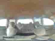 2004 Dodge 3500 ST with VIN 3D7LU38C74G114683, listed as a Copart auction lot 77191104 with Not provided miles and Clean title. Bid and sale history available at DreamBid. Image 12.