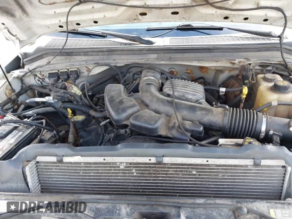 ✅ 2009 Ford F-250 XL • VIN: 1FTNF21549EA08001 • Lot: 43172368. Listed on IAAI with 113,471 mi. Free auction sales archive from the USA and detailed vehicle history report at DreamBid. Image 10.