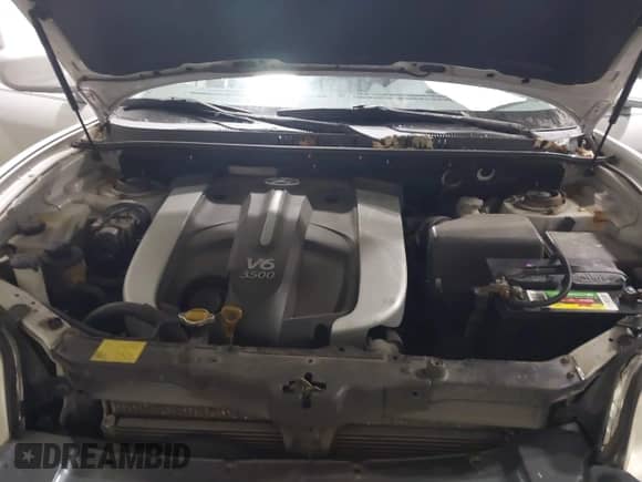 2004 Hyundai Santa Fe GLS with VIN KM8SC73E04U790250, listed as a IAAI auction lot 41301065 with 203,803 mi miles and . Bid and sale history available at DreamBid. Image 10.