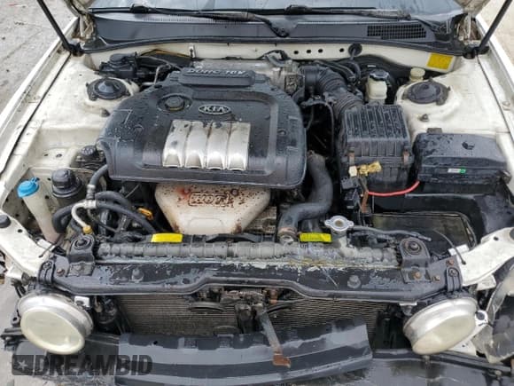 ✅ 2003 Kia Optima LX • VIN: KNAGD126335210008 • Lot: 67408705. Listed on Copart with 212,574 mi. Free auction sales archive from the USA and detailed vehicle history report at DreamBid. Image 11.