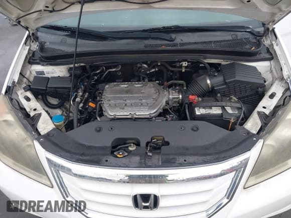 ✅ 2008 Honda Odyssey EX • VIN: 5FNRL38468B107347 • Lot: 43758518. Wystawiony na IAAI z przebiegiem 206 432 mil. Bezpłatny archiwum sprzedaży aukcyjnych z USA i szczegółowy raport historii pojazdu na DreamBid. Zdjęcie 10.