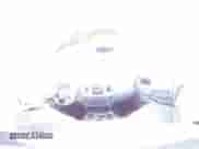 2008 Dodge 1500 SLT with VIN 3D7KS19D78G164888, listed as a Copart auction lot 50689395 with 176,282 mi miles and Salvage title. Bid and sale history available at DreamBid. Image 13.