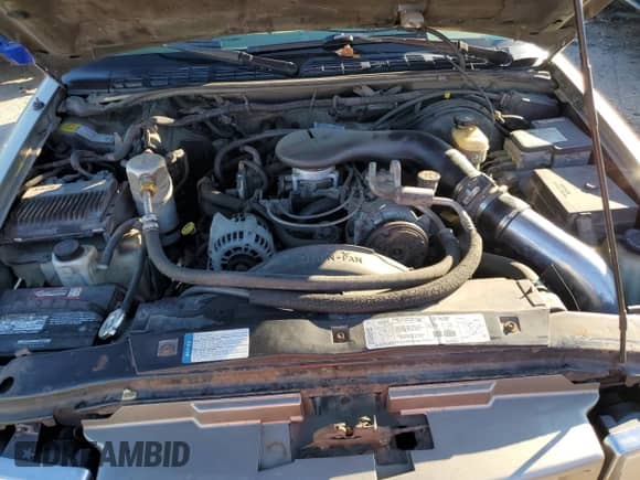 1999 Chevrolet Blazer LS z VIN 1GNCT18W1XK140616, wystawiony jako Copart lot #78567434 z przebiegiem 244 356 mil mil oraz Czysty tytuł • Clean title. Historia ofert i sprzedaży dostępna na DreamBid. Obrazek 12.