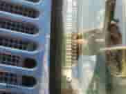 1991 Chevrolet S-10 с VIN 1GCCS14E2M8171195, выставлен на аукционе Copart как лот 47487625 с пробегом 16 184 миль миль и Списание • Salvage title. История ставок и продаж доступна на DreamBid. Изображение 14.