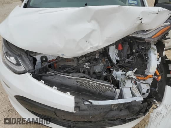 ✅ 2019 Chevrolet Bolt EV LT • VIN: 1G1FW6S05K4109258 • Lot: 46063545. Wystawiony na Copart z przebiegiem 35 925 mil. Bezpłatny archiwum sprzedaży aukcyjnych z USA i szczegółowy raport historii pojazdu na DreamBid. Zdjęcie 11.