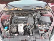 ✅ 2014 Honda Accord EX-L • VIN: 1HGCR2F84EA227125 • Лот: 43750753. Опубликован ранее на IAAI с пробегом 134 480 миль. Бесплатный доступ к архиву аукционных продаж из США и подробный отчёт об истории автомобиля на DreamBid. Изображение 10.