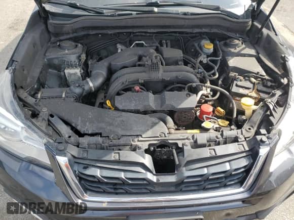 2017 Subaru Forester Limited with VIN JF2SJAJC2HH804951, listed as a Copart auction lot 81412985 with 221,177 mi miles and Salvage title. Bid and sale history available at DreamBid. Image 11.