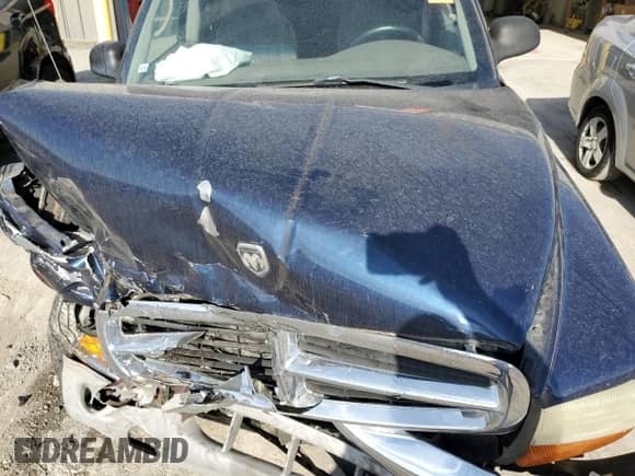 2004 Dodge Dakota SLT with VIN 1D7HG48N24S528189, listed as a Copart auction lot 79819114 with 203,056 mi miles and Salvage title. Bid and sale history available at DreamBid. Image 12.