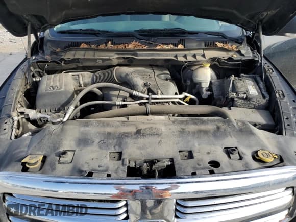 ✅ 2014 Ram 1500 Lone Star • VIN: 1C6RR7LT9ES375108 • Lot: 53950895. Listed on Copart with 215,933 mi. Free auction sales archive from the USA and detailed vehicle history report at DreamBid. Image 11.