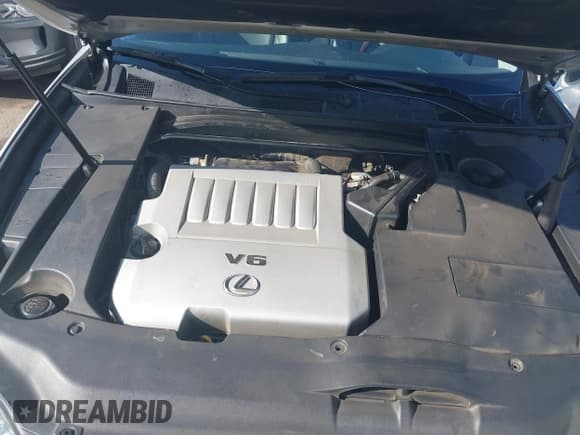 ✅ 2008 Lexus ES 330 • VIN: JTHBJ46G882229283 • Lot: 41279128. Listed on IAAI with 121,207 mi. Free auction sales archive from the USA and detailed vehicle history report at DreamBid. Image 10.