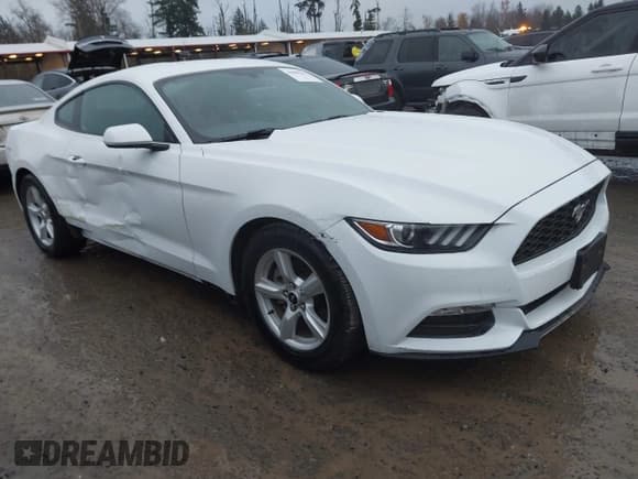 ✅ 2017 Ford Mustang V6 • VIN: 1FA6P8AM3H5307124 • Lot: 43800321. Listed on IAAI with 15,003 mi. Free auction sales archive from the USA and detailed vehicle history report at DreamBid. Image 1.