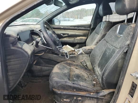 2024 Hyundai Santa Cruz Limited with VIN 5NTJEDAF6RH083340, listed as a Copart auction lot 77533214 with Not provided miles and Salvage title. Bid and sale history available at DreamBid. Image 7.