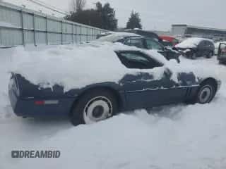1984 Chevrolet Corvette with VIN 1G1AY0781E5106551, listed as a Copart auction lot 41592385 with Not provided miles and Clean title. Bid and sale history available at DreamBid. Image 3.