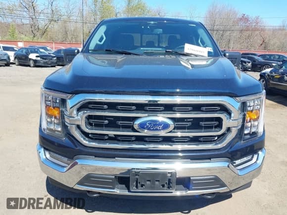 ✅ 2023 Ford F-150 XL • VIN: 1FTEW1EPXPKE64735 • Lot: 42060985. Listed on IAAI with 18,974 mi. Free auction sales archive from the USA and detailed vehicle history report at DreamBid. Image 12.