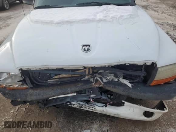 1999 Dodge Dakota SLT z VIN 1B7GL22Y7XS107078, wystawiony jako Copart lot #87968855 z przebiegiem 180 034 mil mil oraz Szkoda całkowita • Salvage title. Historia ofert i sprzedaży dostępna na DreamBid. Obrazek 12.