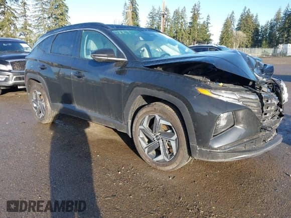 ✅ 2023 Hyundai Tucson Limited • VIN: KM8JFDA21PU133987 • Lot: 41712799. Wystawiony na IAAI z przebiegiem 9 303 mil. Bezpłatny archiwum sprzedaży aukcyjnych z USA i szczegółowy raport historii pojazdu na DreamBid. Zdjęcie 1.