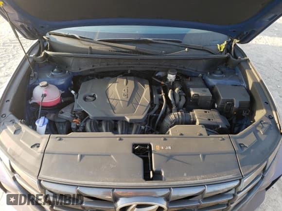 ✅ 2024 Hyundai Tucson SEL • VIN: 5NMJB3DE1RH294298 • Lot: 74946124. Wystawiony na Copart z przebiegiem 4 873 mil. Bezpłatny archiwum sprzedaży aukcyjnych z USA i szczegółowy raport historii pojazdu na DreamBid. Zdjęcie 12.