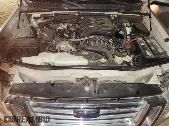 ✅ 2007 Ford Explorer Sport Trac XLT • VIN: 1FMEU51K87UA17635 • Lot: 91238115. Wystawiony na Copart z przebiegiem 121 547 mil. Bezpłatny archiwum sprzedaży aukcyjnych z USA i szczegółowy raport historii pojazdu na DreamBid. Zdjęcie 11.