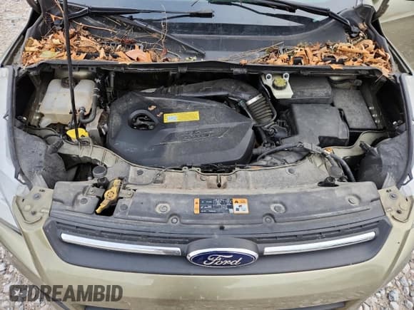 ✅ 2014 Ford Escape SE • VIN: 1FMCU9GX9EUB13353 • Lot: 87383835. Wystawiony na Copart z przebiegiem 136 706 mil. Bezpłatny archiwum sprzedaży aukcyjnych z USA i szczegółowy raport historii pojazdu na DreamBid. Zdjęcie 12.