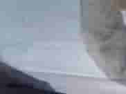 ✅ 1994 GMC Sierra 1500 SLE1 • VIN: 2GTEC19ZXR1545189 • Лот: 43587303. Размещён на IAAI с пробегом 392 935 миль миль. Получите бесплатный доступ к архиву аукционных продаж из США и посмотрите подробный отчёт об истории автомобиля на DreamBid. Изображение 9.