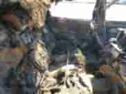 2009 Hyundai Azera Limited с VIN KMHFC46F89A380700, выставлен на аукционе Copart как лот 48611085 с пробегом Не указан миль и Списание • Salvage title. История ставок и продаж доступна на DreamBid. Изображение 10.