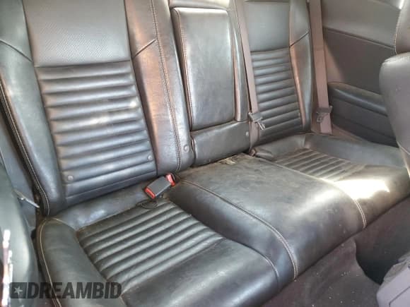 ✅ 2010 Dodge Challenger R/T • VIN: 2B3CJ5DT8AH244716 • Lot: 73002824. Wystawiony na Copart z przebiegiem Nie podano. Bezpłatny archiwum sprzedaży aukcyjnych z USA i szczegółowy raport historii pojazdu na DreamBid. Zdjęcie 10.