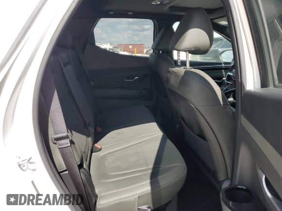 2023 Hyundai Santa Cruz Limited с VIN 5NTJEDAFXPH069504, выставлен на аукционе Copart как лот 44216265 с пробегом 10 973 миль миль и Списание • Salvage title. История ставок и продаж доступна на DreamBid. Изображение 10.
