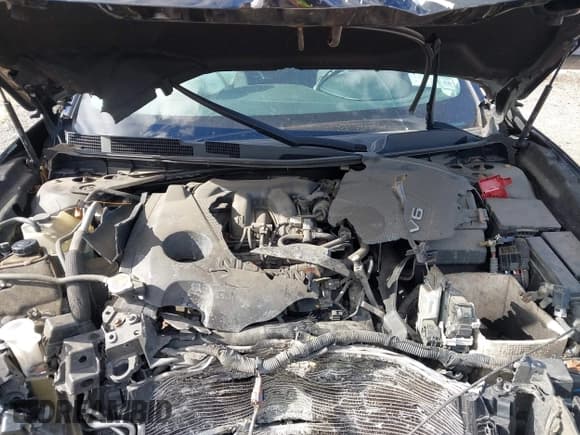 ✅ 2016 Nissan Maxima Platinum • VIN: 1N4AA6AP3GC431267 • Лот: 43623874. Опубликован ранее на IAAI с пробегом 117 359 миль. Бесплатный доступ к архиву аукционных продаж из США и подробный отчёт об истории автомобиля на DreamBid. Изображение 10.