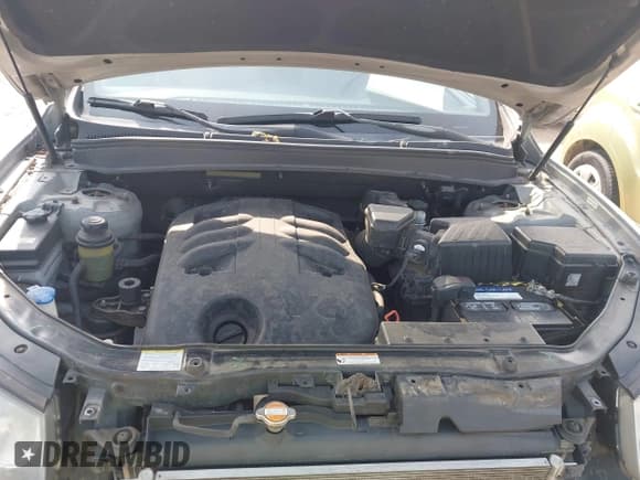 ✅ 2008 Hyundai Santa Fe SE • VIN: 5NMSH73EX8H166832 • Lot: 43175715. Wystawiony na IAAI z przebiegiem 186 172 mil. Bezpłatny archiwum sprzedaży aukcyjnych z USA i szczegółowy raport historii pojazdu na DreamBid. Zdjęcie 10.