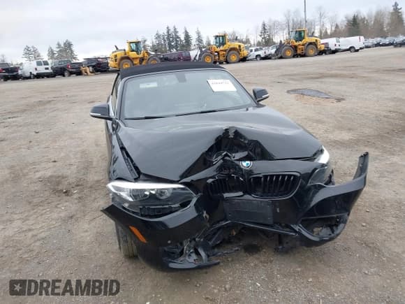 ✅ 2017 BMW 2 Series 230i • VIN: WBA2K9C31HV647631 • Lot: 41844731. Listed on IAAI with 80,065 mi. Free auction sales archive from the USA and detailed vehicle history report at DreamBid. Image 11.