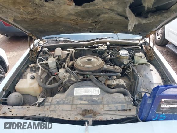 ✅ 1984 Oldsmobile Delta • VIN: 1G3AY69Y0EX383932 • Lot: 42109080. Listed on IAAI with 129,332 mi. Free auction sales archive from the USA and detailed vehicle history report at DreamBid. Image 10.