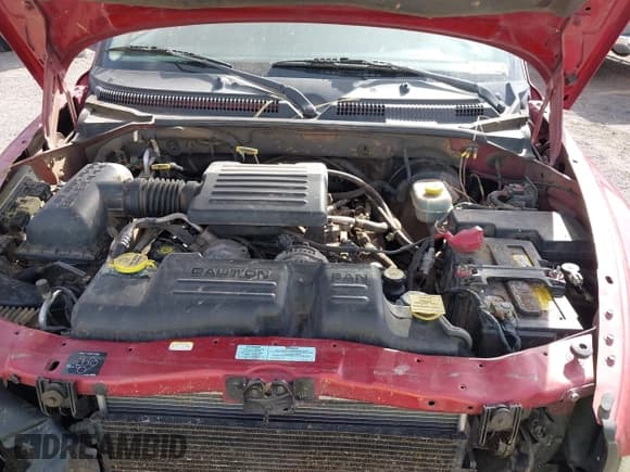 ✅ 2001 Dodge Durango • VIN: 1B4HR28NX1F523025 • Lot: 42124427. Wystawiony na IAAI z przebiegiem 254 324 mil. Bezpłatny archiwum sprzedaży aukcyjnych z USA i szczegółowy raport historii pojazdu na DreamBid. Zdjęcie 10.