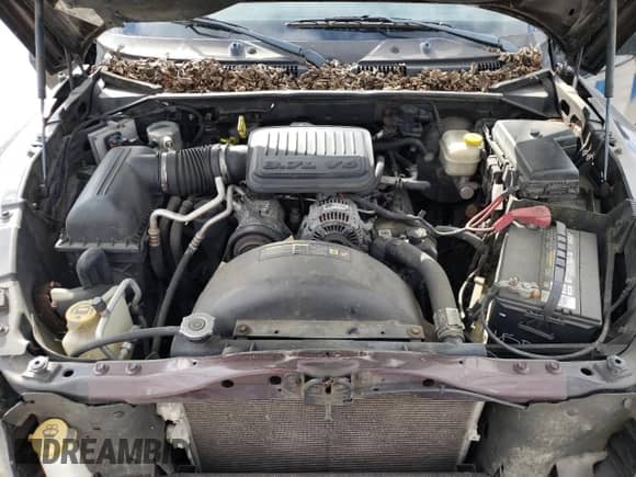 2005 Dodge Dakota ST z VIN 1D7HW28K55S265016, wystawiony jako Copart lot #81959724 z przebiegiem 154 306 mil mil oraz Czysty tytuł • Clean title. Historia ofert i sprzedaży dostępna na DreamBid. Obrazek 11.