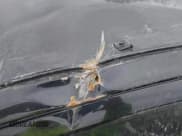 ✅ 2018 Toyota Prius One • VIN: JTDKDTB37J1606137 • Lot: 40709527. Listed on IAAI with 92,356 mi. Free auction sales archive from the USA and detailed vehicle history report at DreamBid. Image 18.