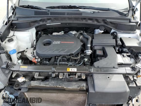 ✅ 2017 Hyundai Santa Fe Ultimate • VIN: 5NMZWDLA6HH050317 • Лот: 65946543. Опубликован ранее на Copart с пробегом 67 265 миль. Бесплатный доступ к архиву аукционных продаж из США и подробный отчёт об истории автомобиля на DreamBid. Изображение 12.